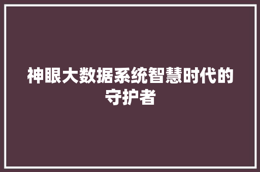 神眼大数据系统智慧时代的守护者