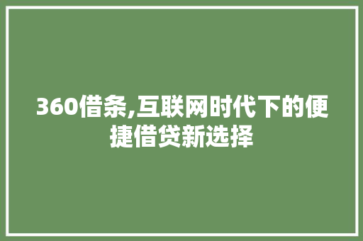 360借条,互联网时代下的便捷借贷新选择 后端技术