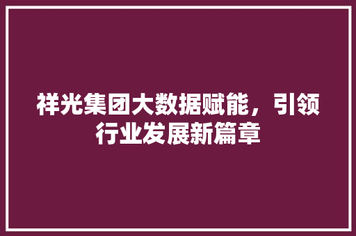 祥光集团大数据赋能，引领行业发展新篇章
