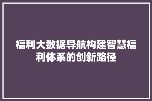 福利大数据导航构建智慧福利体系的创新路径