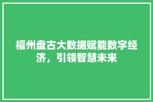 福州盘古大数据赋能数字经济，引领智慧未来