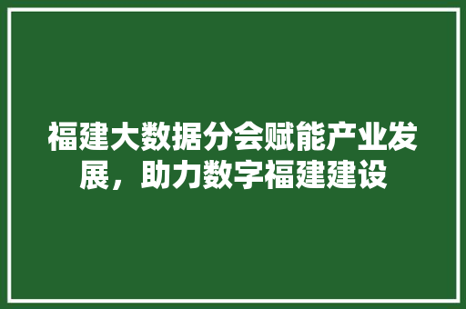 福建大数据分会赋能产业发展，助力数字福建建设