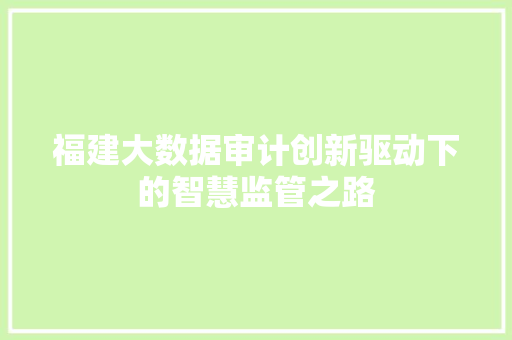福建大数据审计创新驱动下的智慧监管之路