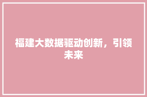福建大数据驱动创新，引领未来