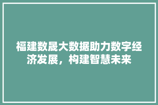 福建数晟大数据助力数字经济发展，构建智慧未来