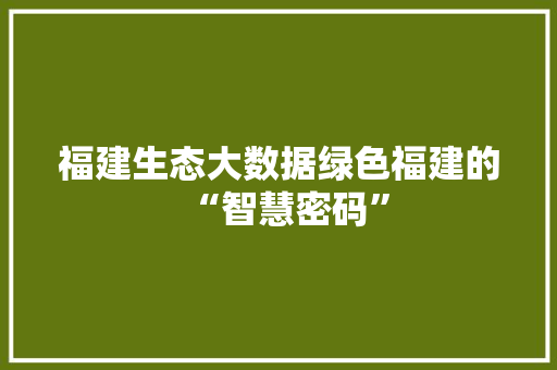 福建生态大数据绿色福建的“智慧密码”
