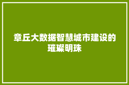 章丘大数据智慧城市建设的璀璨明珠
