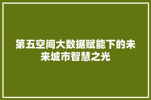 第五空间大数据赋能下的未来城市智慧之光