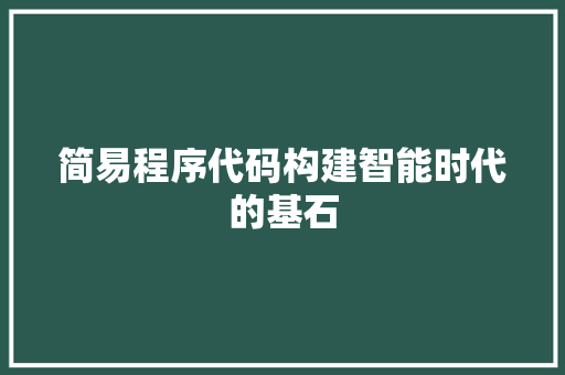 简易程序代码构建智能时代的基石