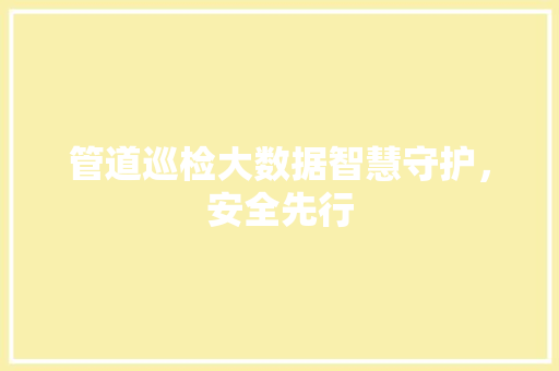 管道巡检大数据智慧守护，安全先行