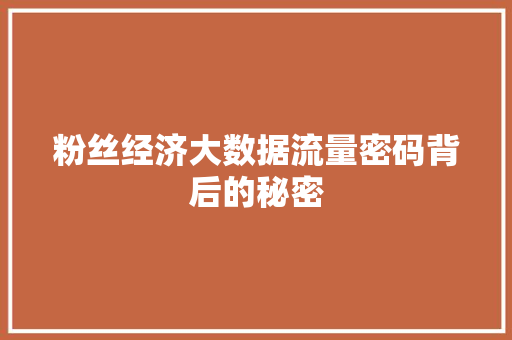 粉丝经济大数据流量密码背后的秘密