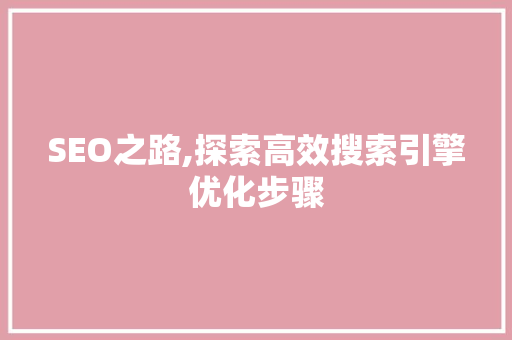 SEO之路,探索高效搜索引擎优化步骤 前端技术