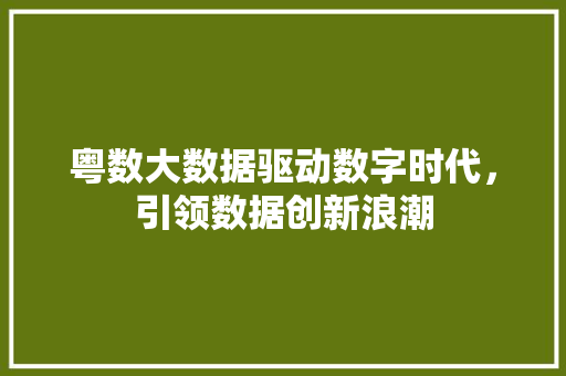 粤数大数据驱动数字时代，引领数据创新浪潮
