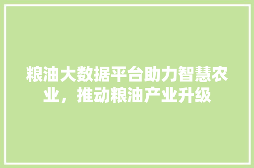 粮油大数据平台助力智慧农业，推动粮油产业升级