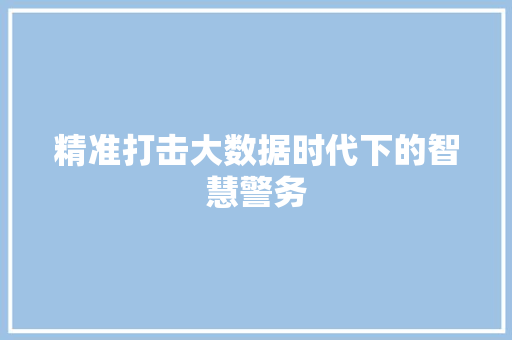 精准打击大数据时代下的智慧警务