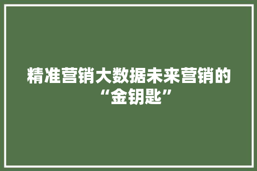 精准营销大数据未来营销的“金钥匙”