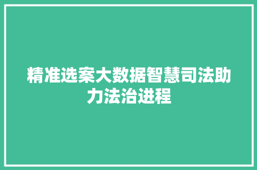 精准选案大数据智慧司法助力法治进程