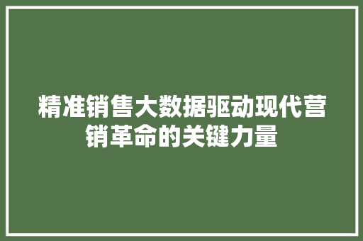 精准销售大数据驱动现代营销革命的关键力量