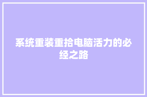 系统重装重拾电脑活力的必经之路