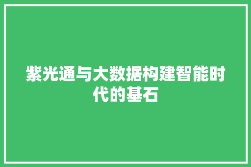 紫光通与大数据构建智能时代的基石