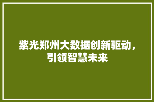 紫光郑州大数据创新驱动，引领智慧未来