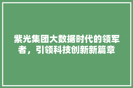 紫光集团大数据时代的领军者，引领科技创新新篇章