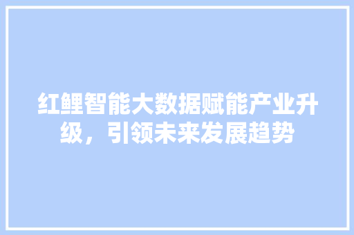 红鲤智能大数据赋能产业升级，引领未来发展趋势