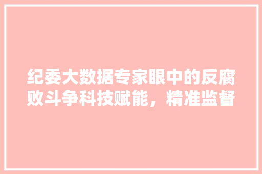 纪委大数据专家眼中的反腐败斗争科技赋能，精准监督