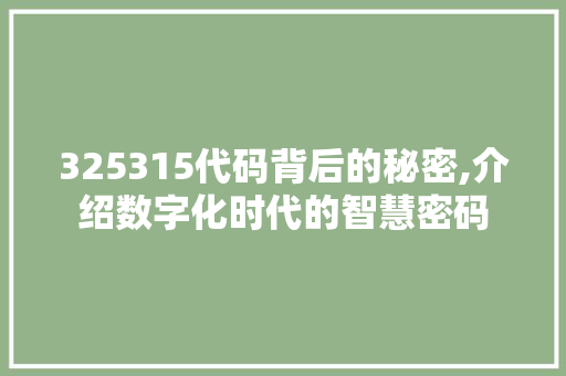 325315代码背后的秘密,介绍数字化时代的智慧密码 后端技术