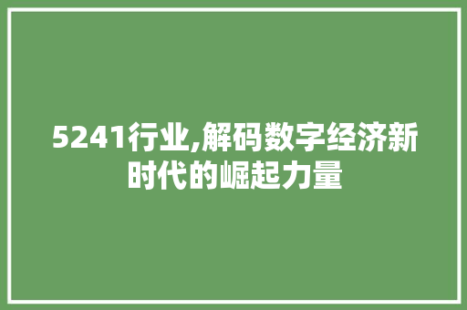 5241行业,解码数字经济新时代的崛起力量