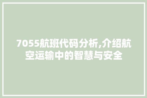 7055航班代码分析,介绍航空运输中的智慧与安全