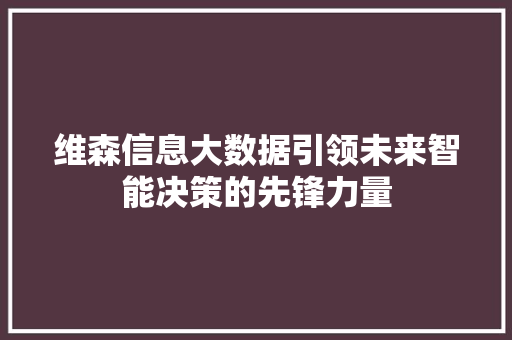 维森信息大数据引领未来智能决策的先锋力量