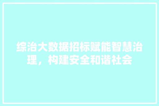 综治大数据招标赋能智慧治理，构建安全和谐社会