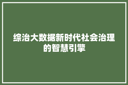 综治大数据新时代社会治理的智慧引擎