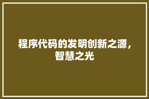 程序代码的发明创新之源，智慧之光