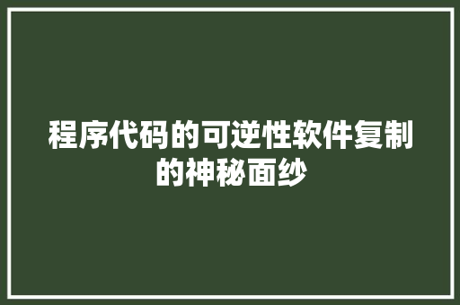 程序代码的可逆性软件复制的神秘面纱