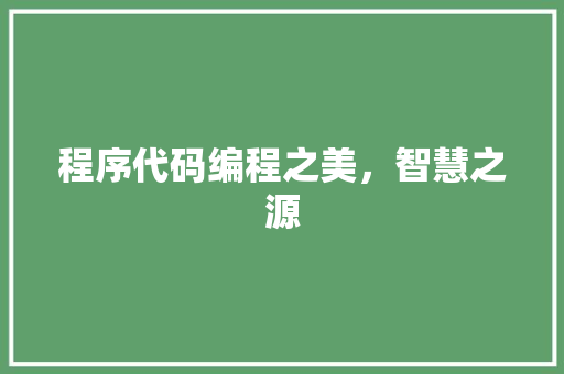 程序代码编程之美，智慧之源