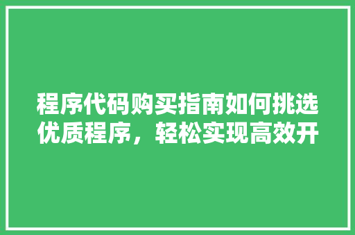 程序代码购买指南如何挑选优质程序，轻松实现高效开发