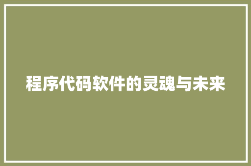 程序代码软件的灵魂与未来