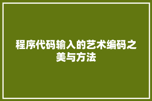 程序代码输入的艺术编码之美与方法