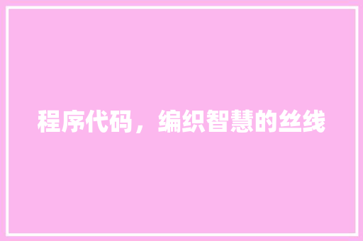 程序代码，编织智慧的丝线