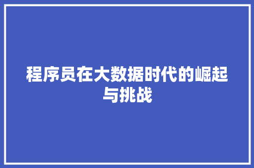 程序员在大数据时代的崛起与挑战