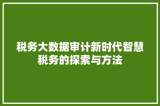 税务大数据审计新时代智慧税务的探索与方法