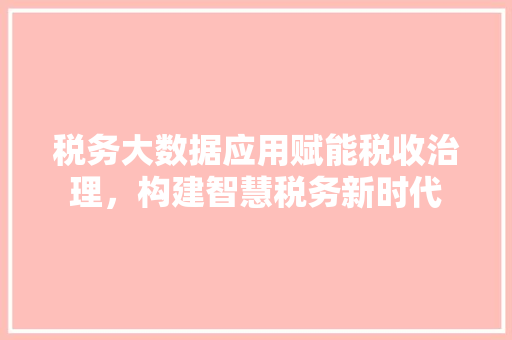 税务大数据应用赋能税收治理，构建智慧税务新时代