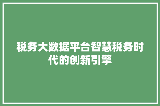 税务大数据平台智慧税务时代的创新引擎