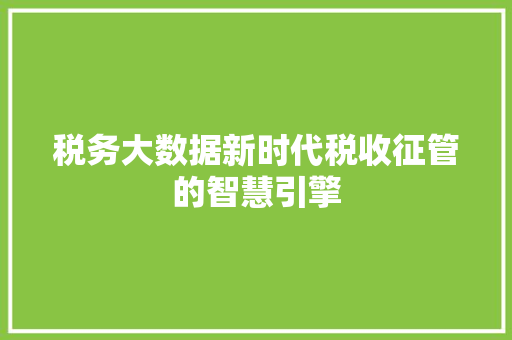 税务大数据新时代税收征管的智慧引擎