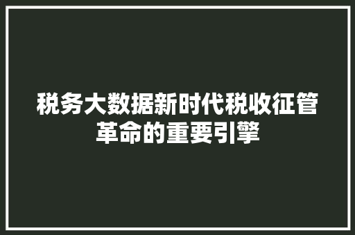 税务大数据新时代税收征管革命的重要引擎