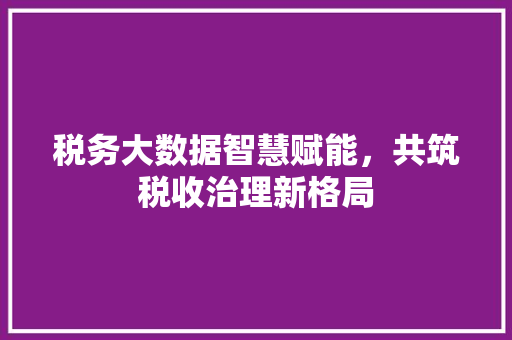 税务大数据智慧赋能，共筑税收治理新格局