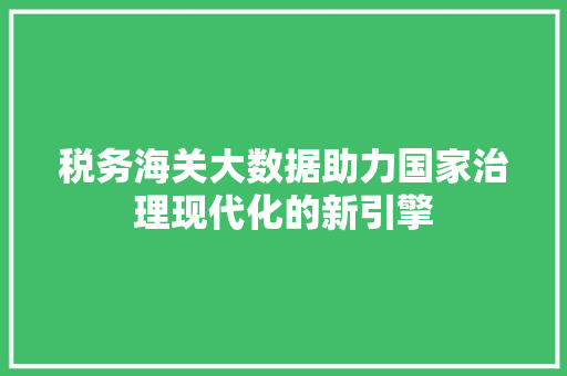 税务海关大数据助力国家治理现代化的新引擎
