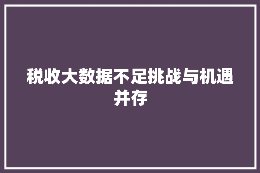 税收大数据不足挑战与机遇并存